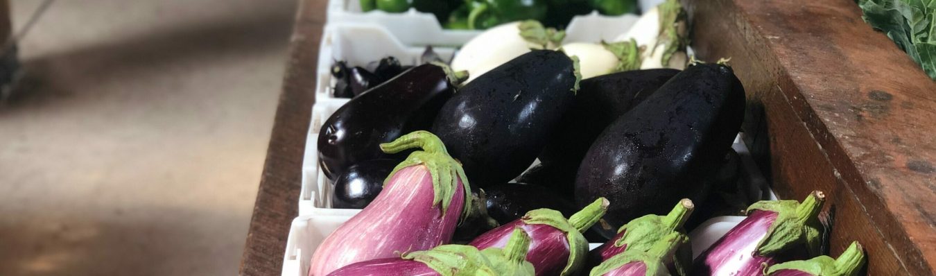 aubergine-minceur-alliée-perte-de-poids